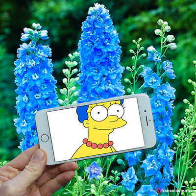 Foto Simpson Di Dunia Nyata 1