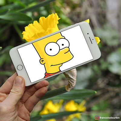 Foto Simpson Di Dunia Nyata 2
