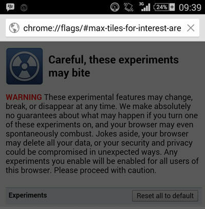 Chrome Ringan1