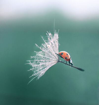 Foto Tanpa Photoshop Keren Banget 4