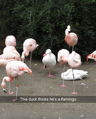Snapchat Keren 5