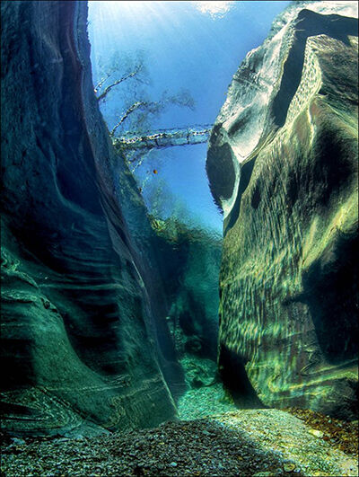 Foto Tanpa Photoshop Paling Wow 1