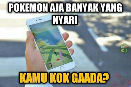 Meme Pokemon Go 16