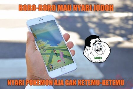 Meme Pokemon Go 27
