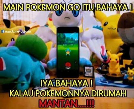 Meme Pokemon Go 21