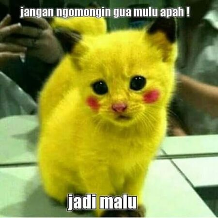 Meme Pokemon Go 29
