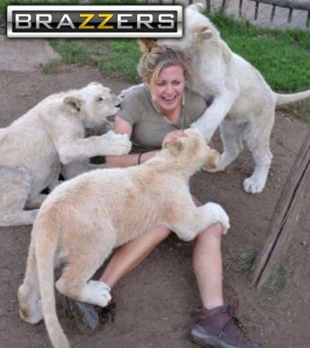 Logo Brazzers Mengubah Segalanya 8