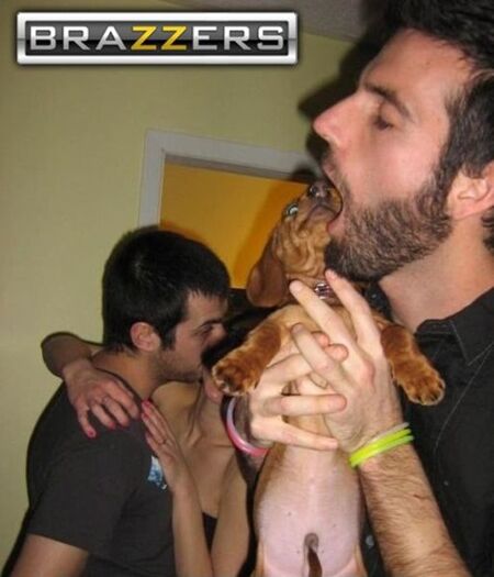 Logo Brazzers Mengubah Segalanya 12