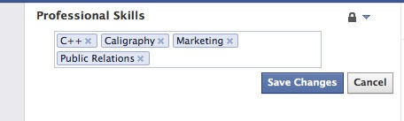 Fitur Baru Professional Skill Dari Facebook 2