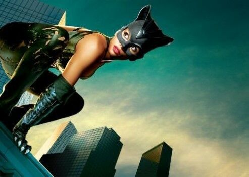 Catwoman D529d