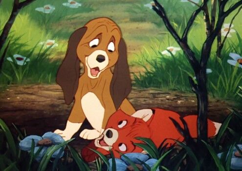 The Fox And The Hound D9e4b