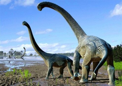 Fosil Dinosaurus Raksasa 96d27