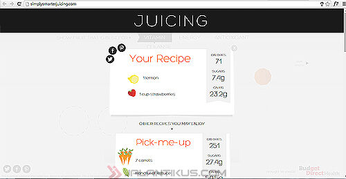 Panduan Lengkap Bikin Jus Sehat Via Website 3