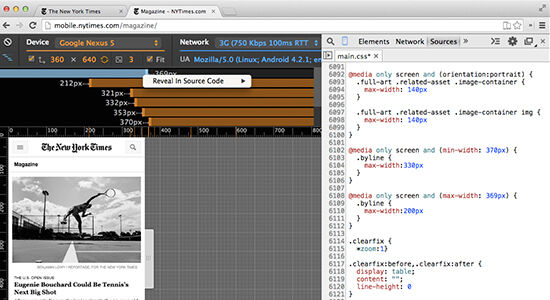 Pengujian Website dan Debugging