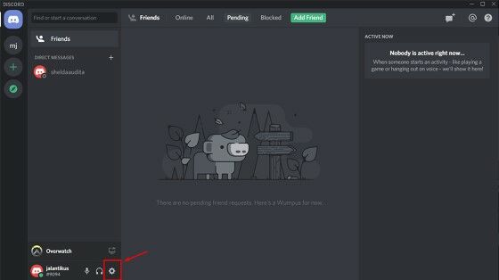 did discord get rid of discord for windows