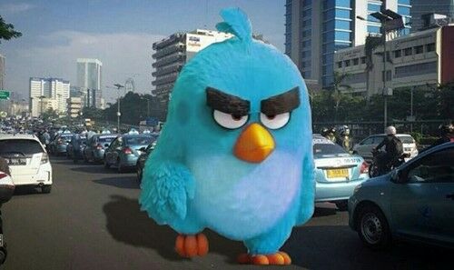 Meme Demo Taksi Blue Bird 1