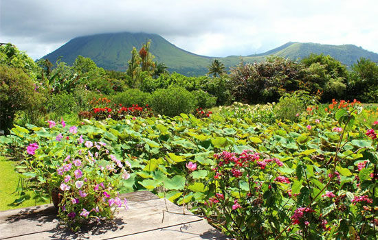 tempat-wisata-manado-airy-rooms