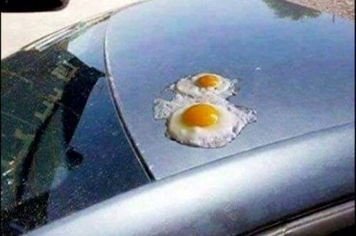 Foto Bahaya Global Warming 2