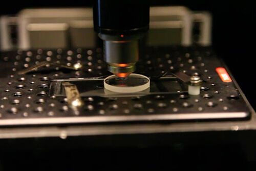 5d Disc 1