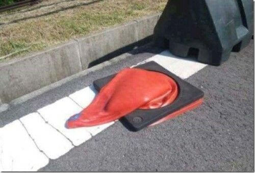 Foto Bahaya Global Warming 1
