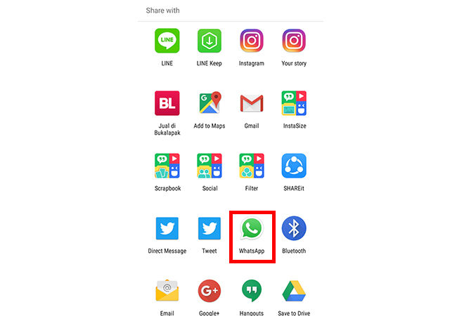 forward-whatsapp-3
