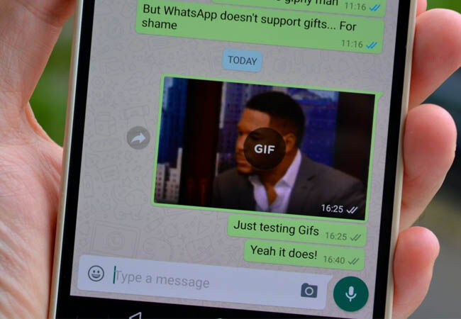 Cara Membuat GIF di WhatsApp Mudah dan Praktis 