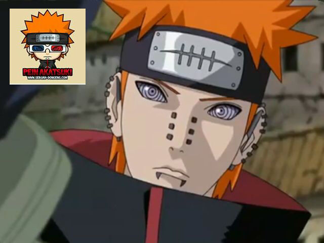 lebah ganteng pein akatsuki