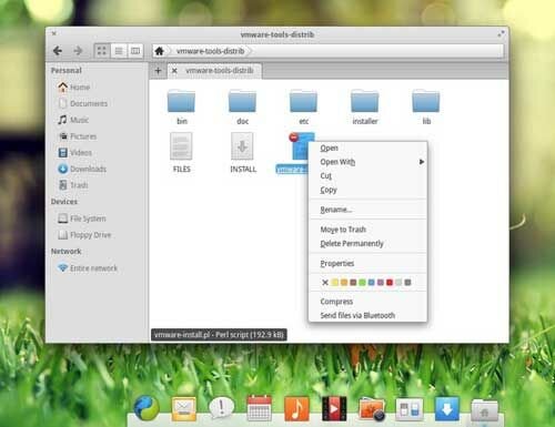 Elementary OS 10