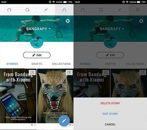 Steller Vs Instagram 4