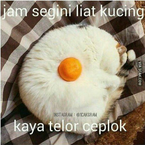 Meme Lucu Karena Puasa 5