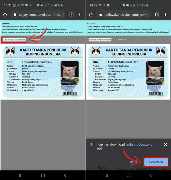 Bolaku Ktp Kucing Indonesia
