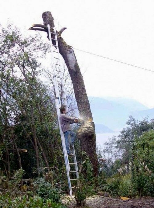 Engineer Yang Greget 2