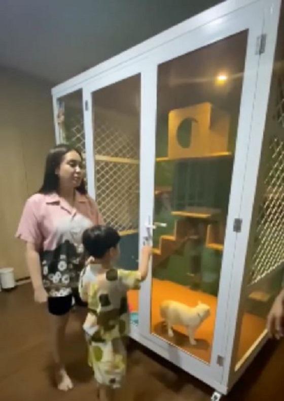 Potret Mewahnya Rumah Kucing Milik 8 Artis Indonesia  Jalantikus
