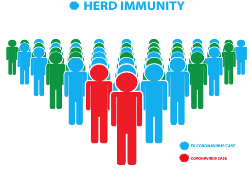 Herd Immunity 6b8f7