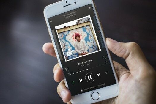 Arti Nama Spotify 36636