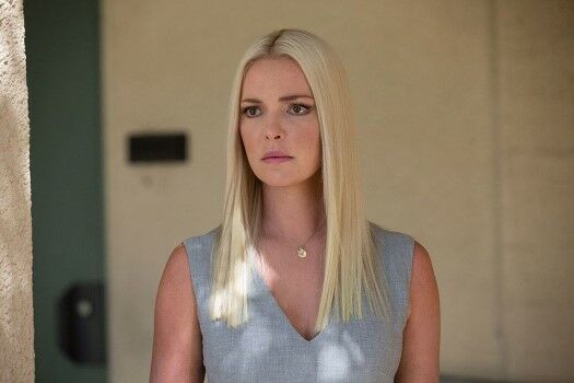 Aktor Katherine Heigl Custom 88a05