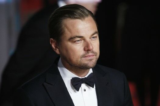 Dis6 Leonardo DiCaprio Custom 44436
