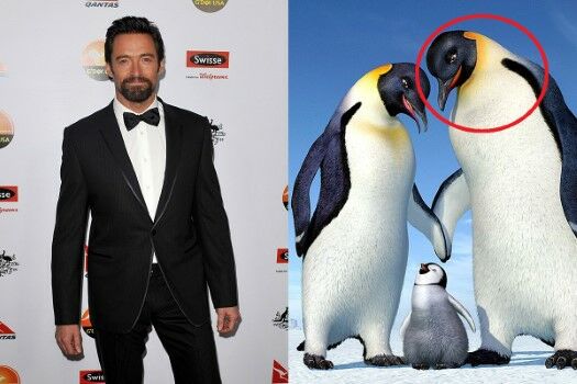 Hugh Jackman D3673