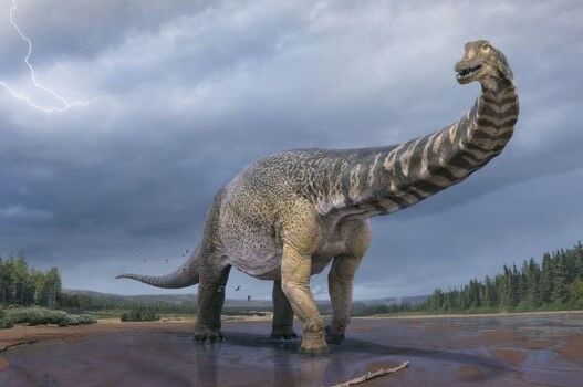 Fosil Dinosaurus Terbaru 9ede9
