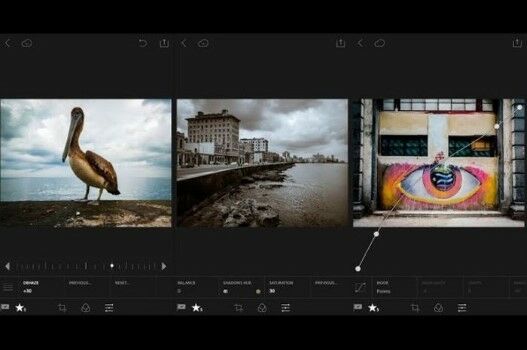 Download Lightroom Mod Apk Full Preset 2021 90b40