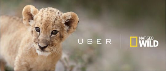 Uber