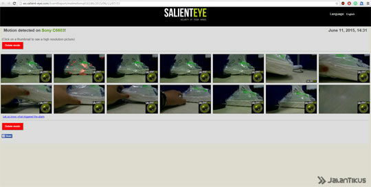 Salienteye Report