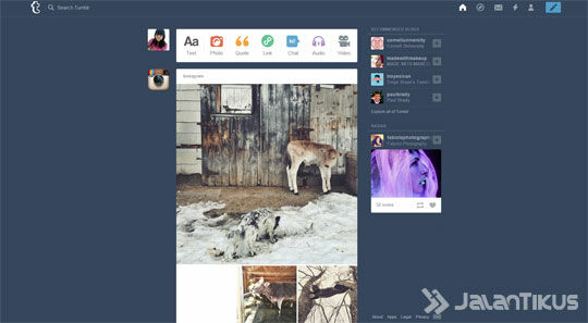 Tumblr Melissa
