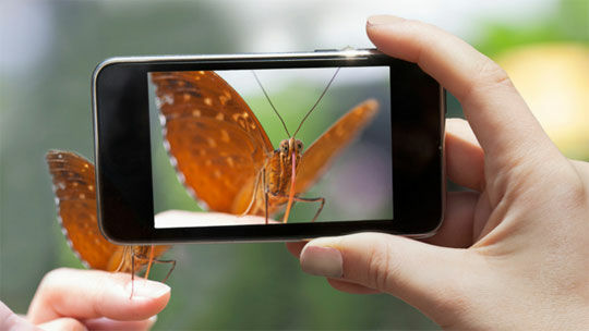 Fill Viewfinder
