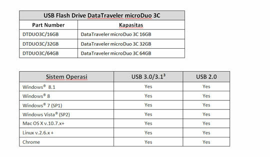 Usb Flashdrive Data Traveler