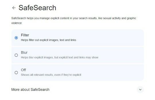 Blokir Situs Dewasa 3979e