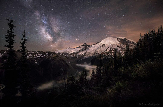 Moonlit Darklings