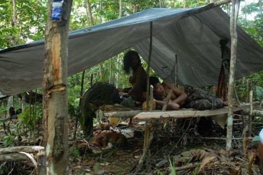 Orang Rimba Ditolak Bank C4396