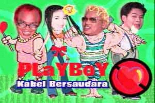 Playboy Kabel Bb991