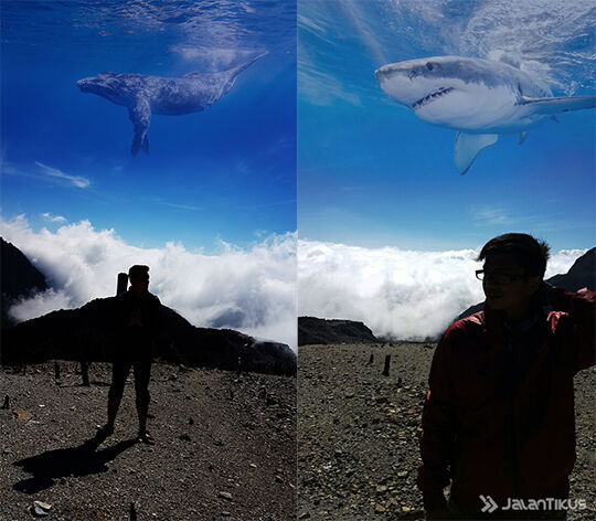 edit-foto-up-and-up